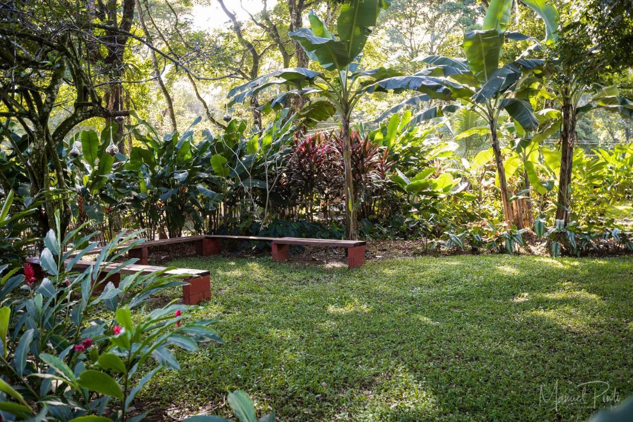 Puerto Viejo Club, Villas & Pool Puerto Viejo de Talamanca Екстериор снимка